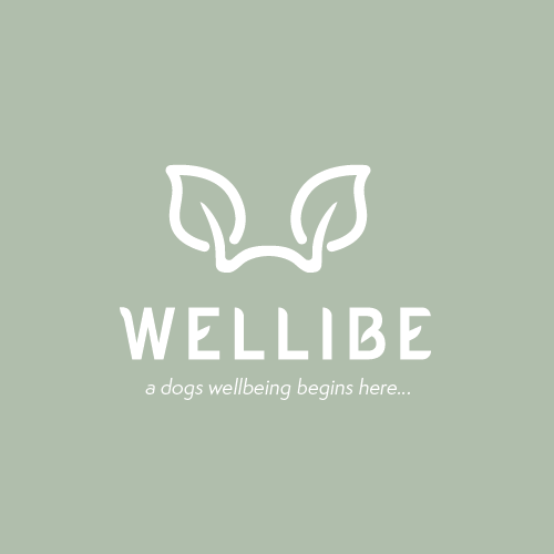 wellibe-brand-logo